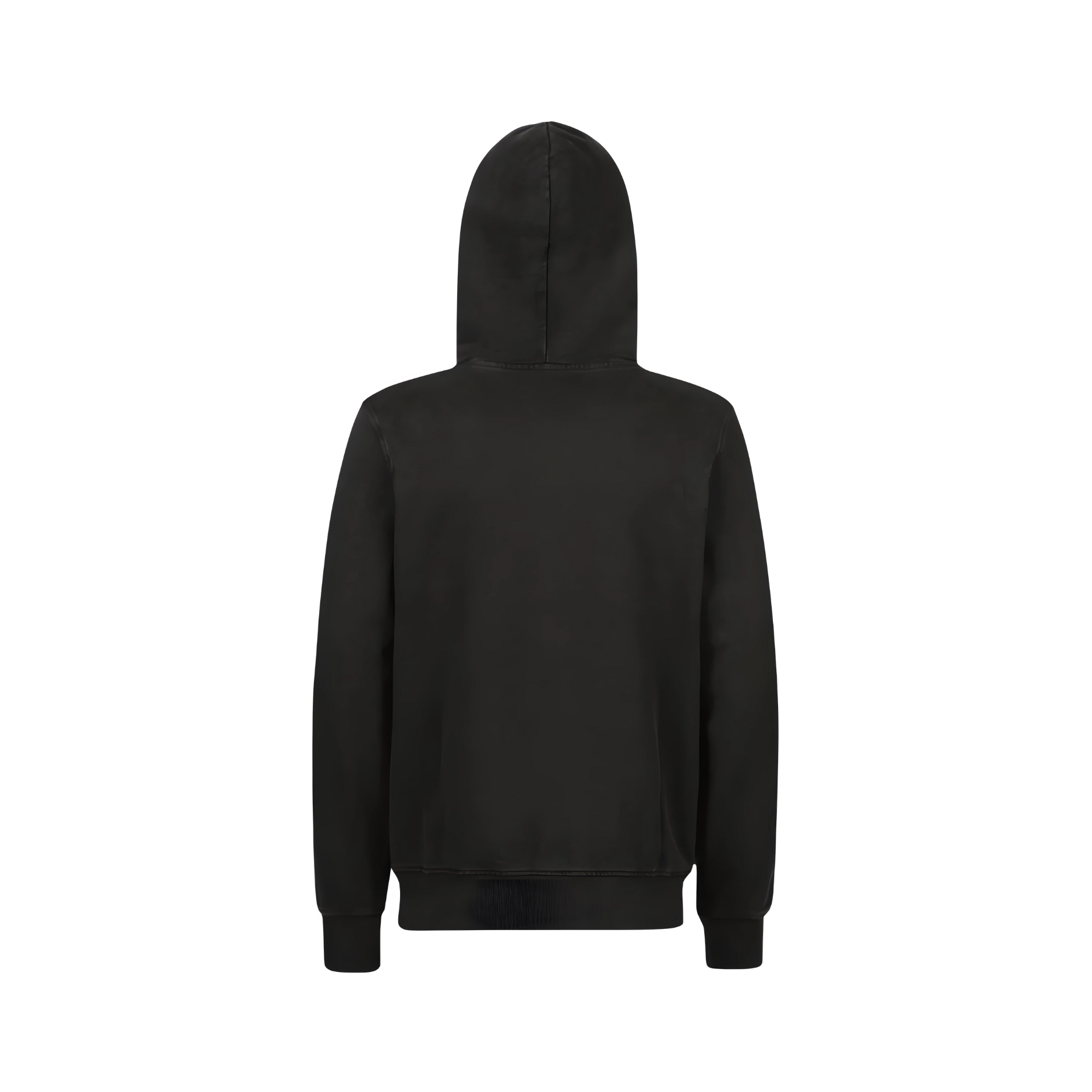 Regular Fit Hoodie