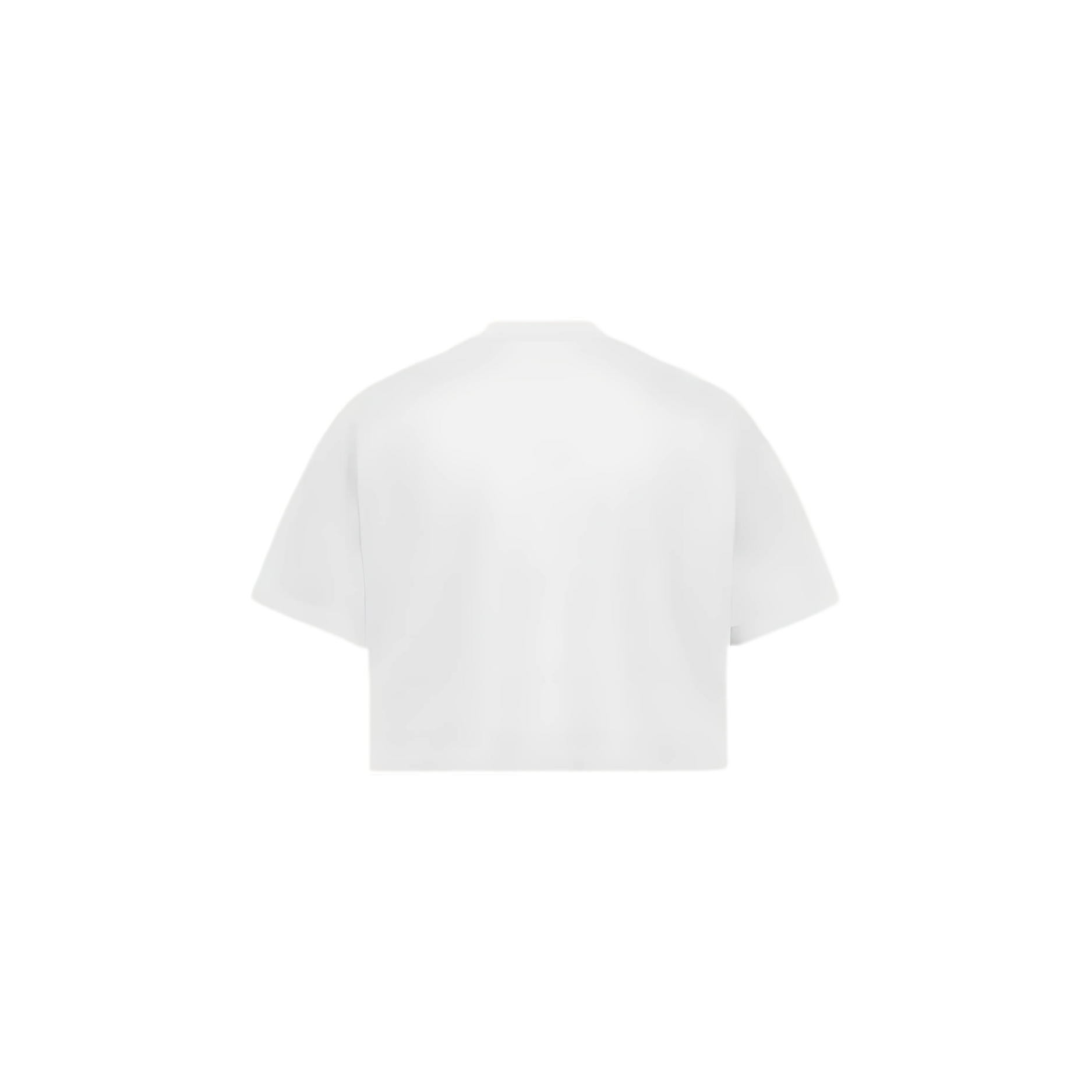 Oversized Cropped Tee